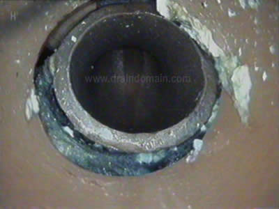 www.draindomain.com_sewer rat in house